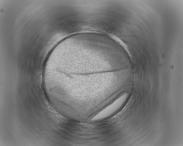 X0000088361415200706121044