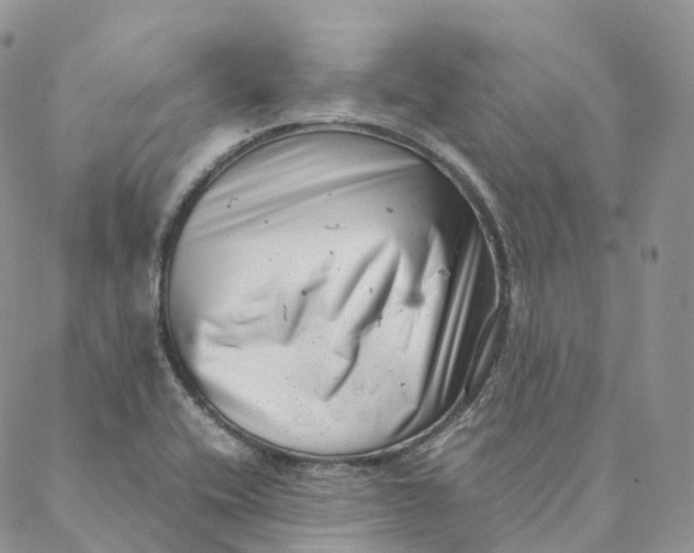 X0000088361416200706121044