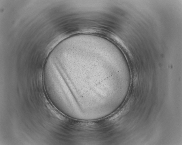 X0000088361417200706121044