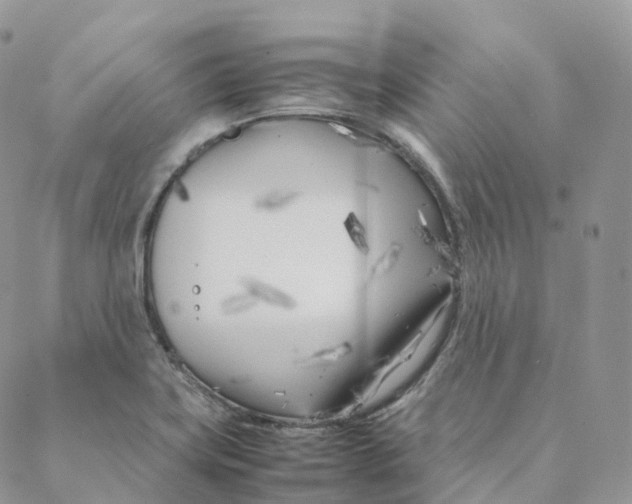 X0000088361419200706121044