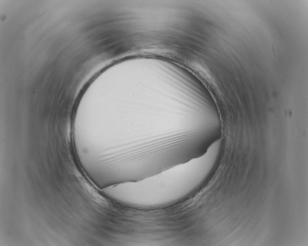 X0000088361420200706121044