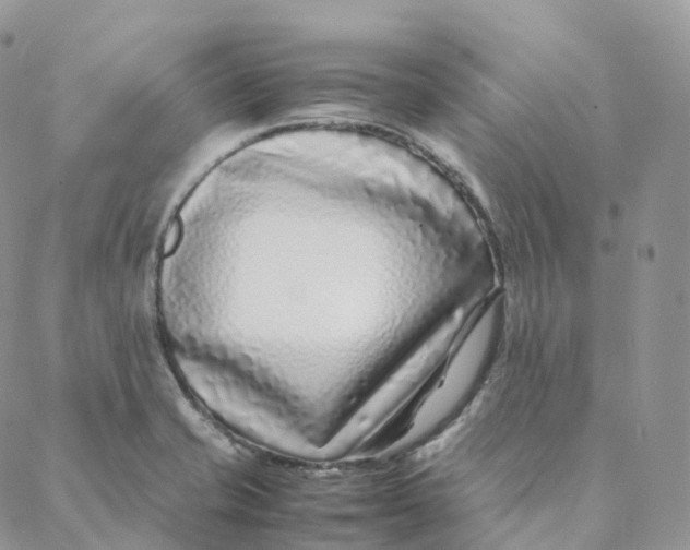 X0000088361421200706121044