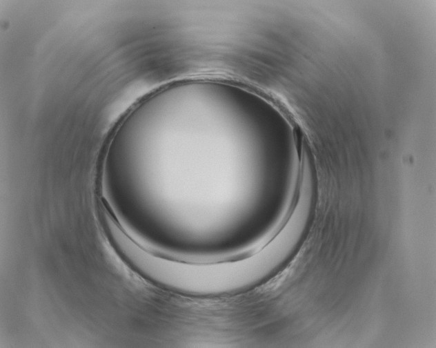 X0000088361422200706121044