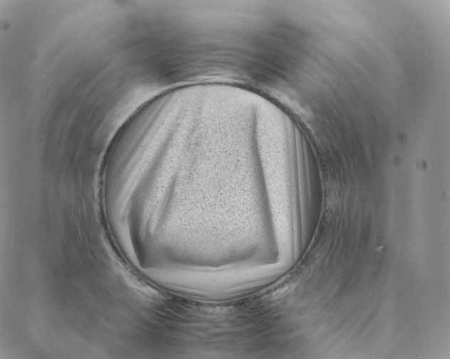 X0000088361423200706121044