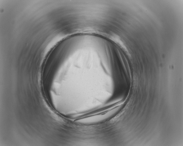 X0000088361424200706121044