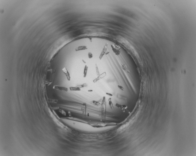 X0000088361425200706121044