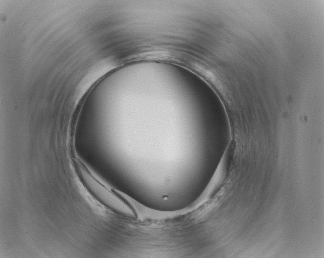 X0000088361426200706121044