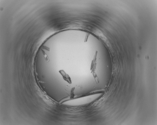 X0000088361427200706121044