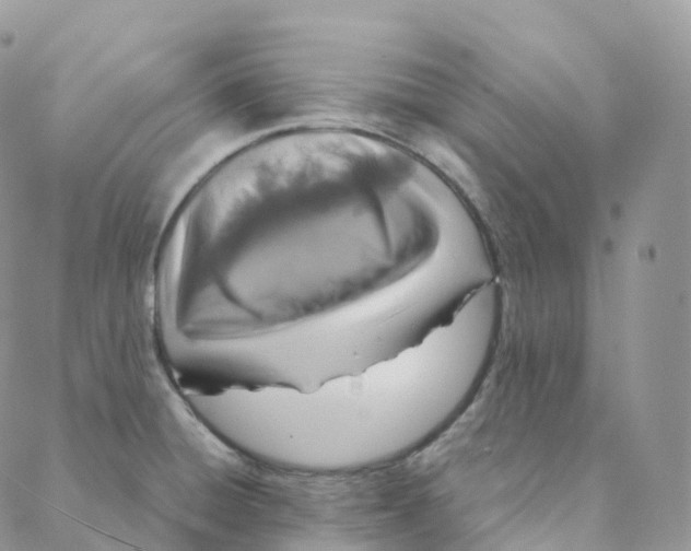 X0000088361428200706121044