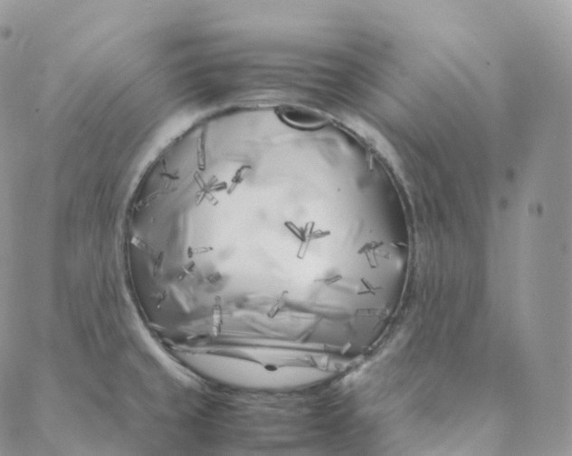 X0000088361429200706121044