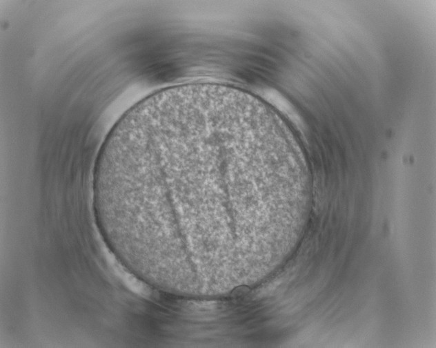 X0000088361431200706121044