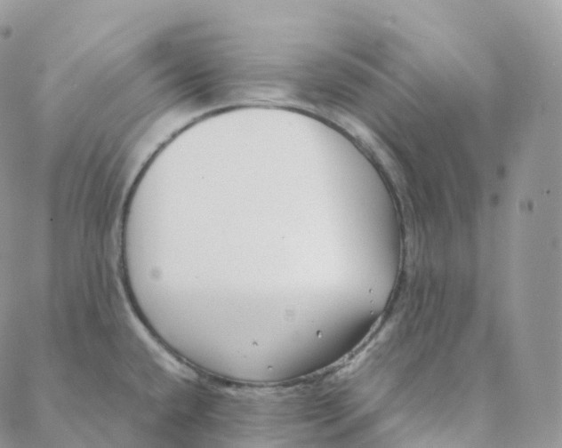 X0000088361432200706121044