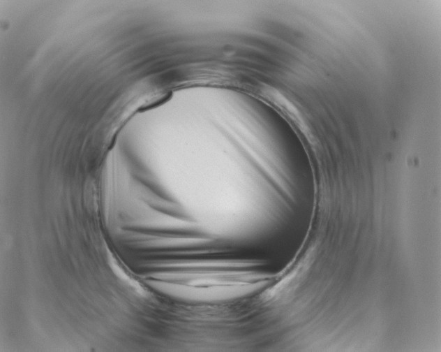 X0000088361433200706121044