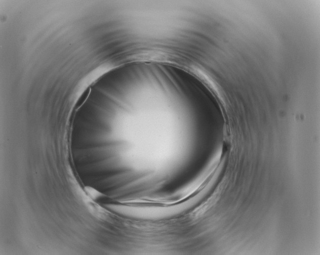 X0000088361434200706121044