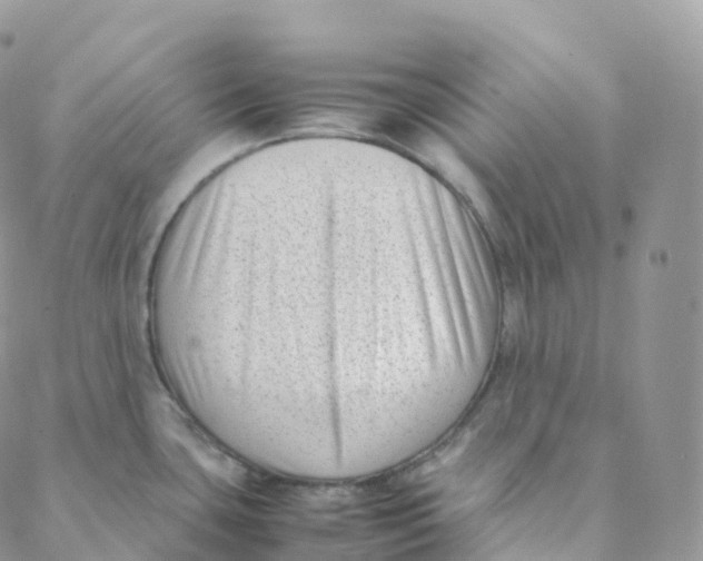 X0000088361435200706121044