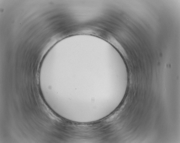 X0000088361436200706121044