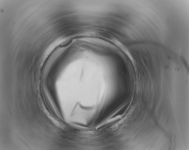 X0000088361437200706121044