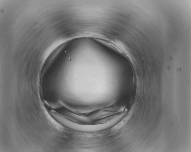 X0000088361438200706121044