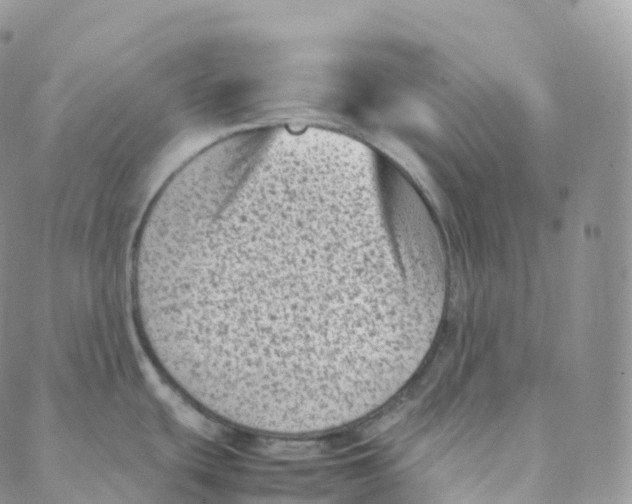 X0000088361439200706121044