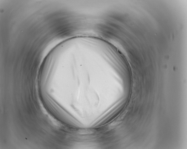 X0000088361440200706121044