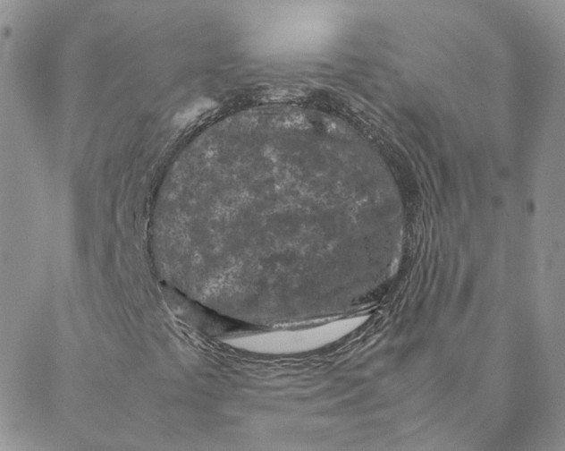 X0000088361441200706121043