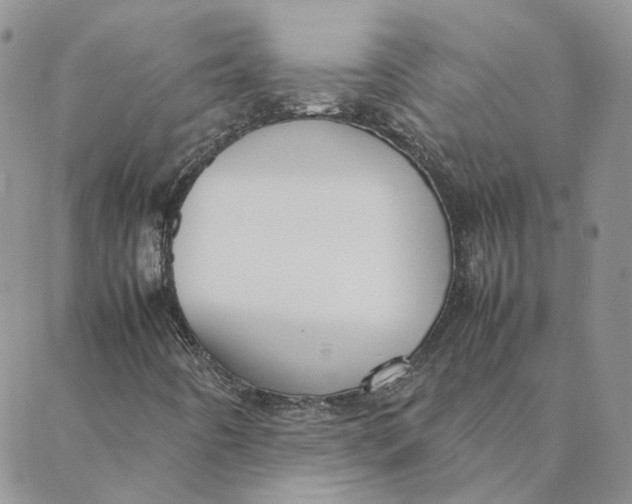 X0000088361442200706121043