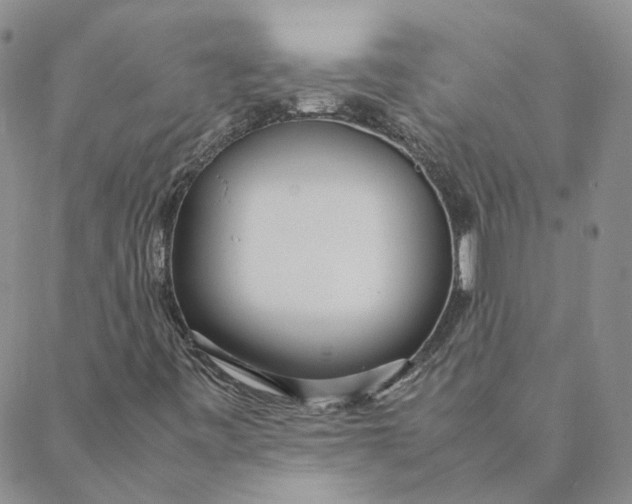 X0000088361443200706121043