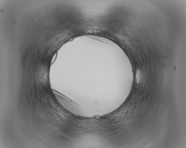 X0000088361444200706121043