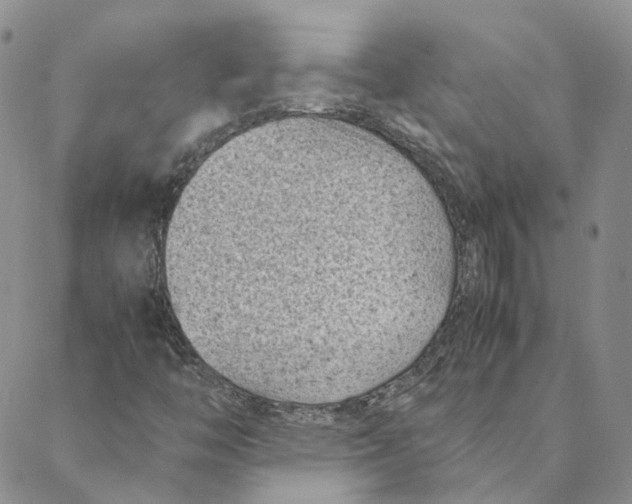 X0000088361446200706121043