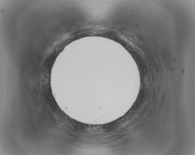 X0000088361447200706121043