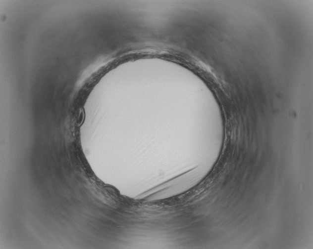 X0000088361448200706121043