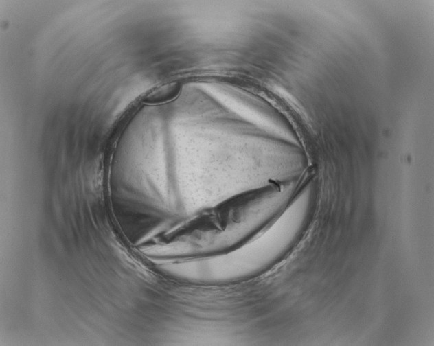 X0000088361450200706121043