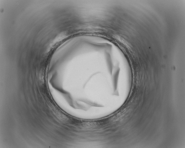 X0000088361451200706121043