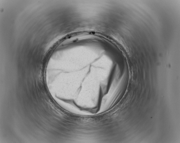 X0000088361452200706121043