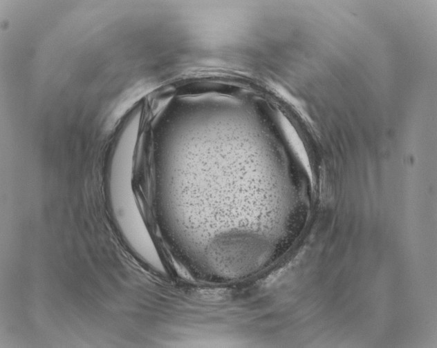 X0000088361453200706121043