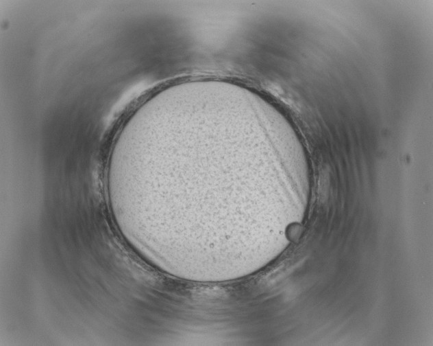 X0000088361454200706121043