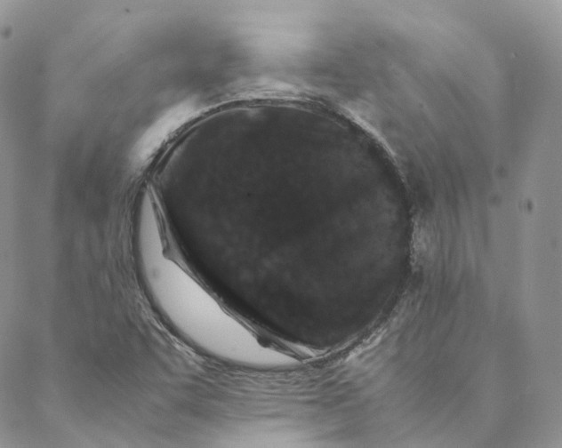 X0000088361455200706121043