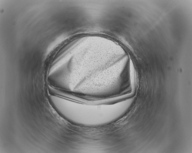 X0000088361456200706121043