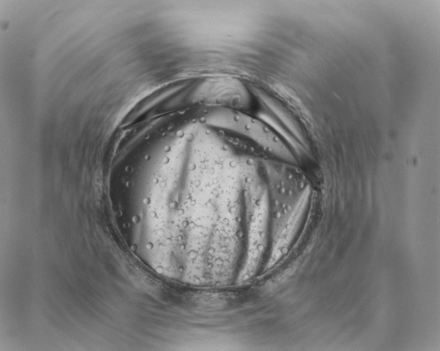 X0000088361457200706121043