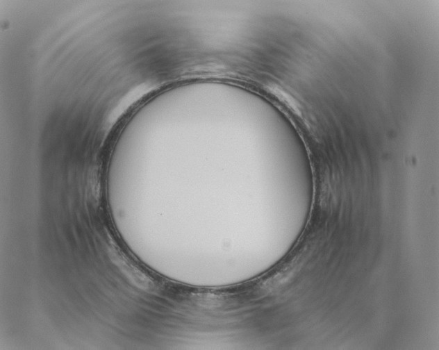 X0000088361458200706121043