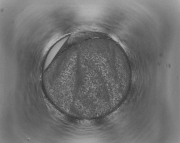 X0000088361459200706121043