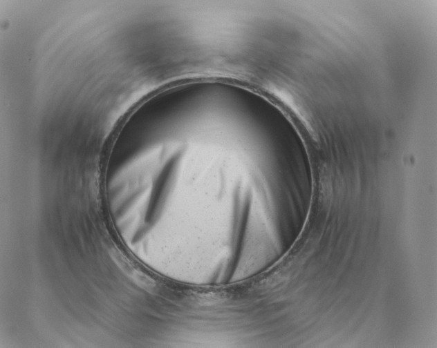 X0000088361460200706121043