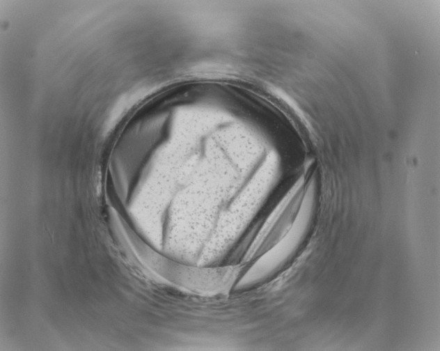 X0000088361461200706121043