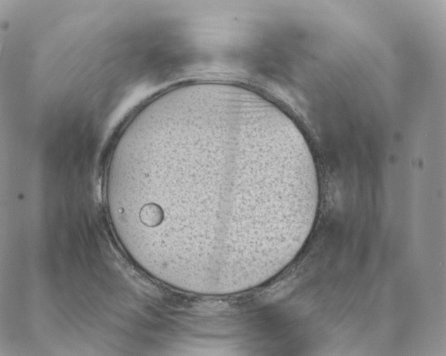 X0000088361462200706121043