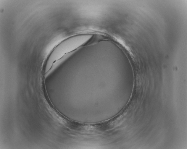 X0000088361463200706121043