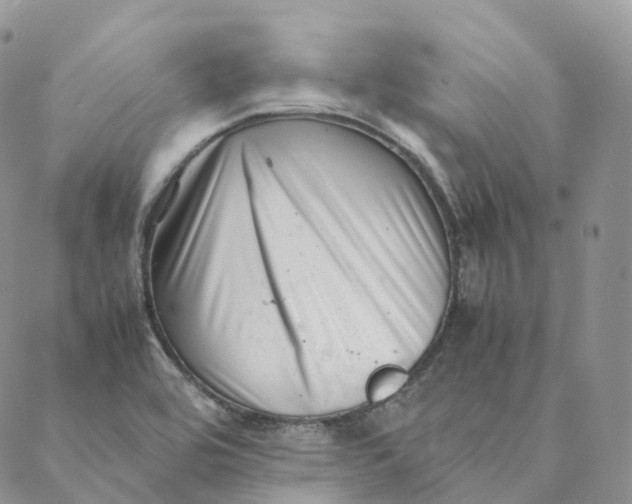 X0000088361464200706121043