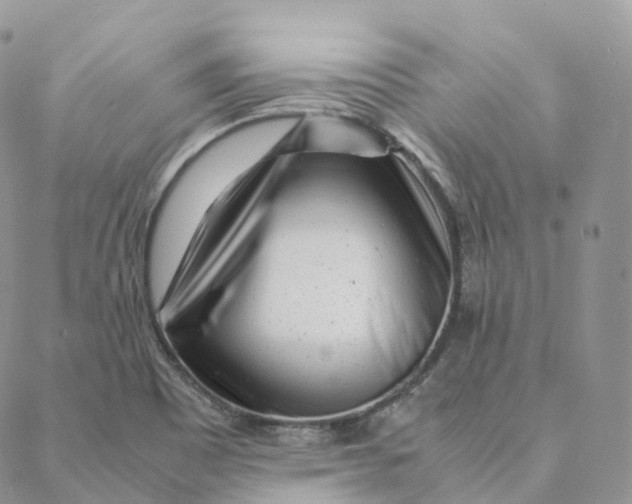 X0000088361465200706121043