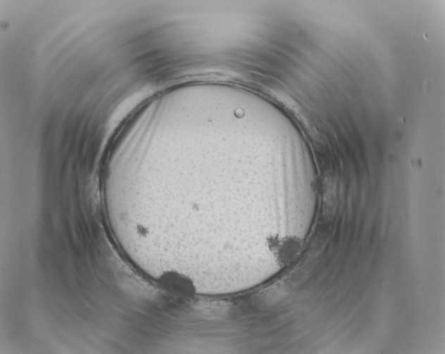 X0000088361466200706121043