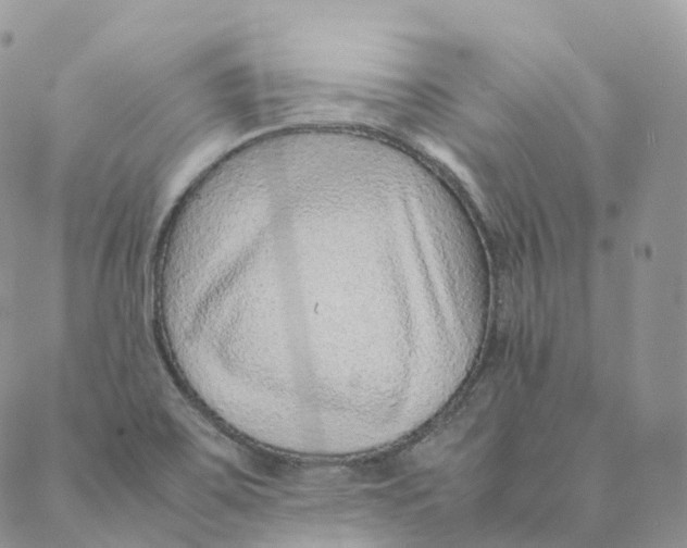 X0000088361467200706121043