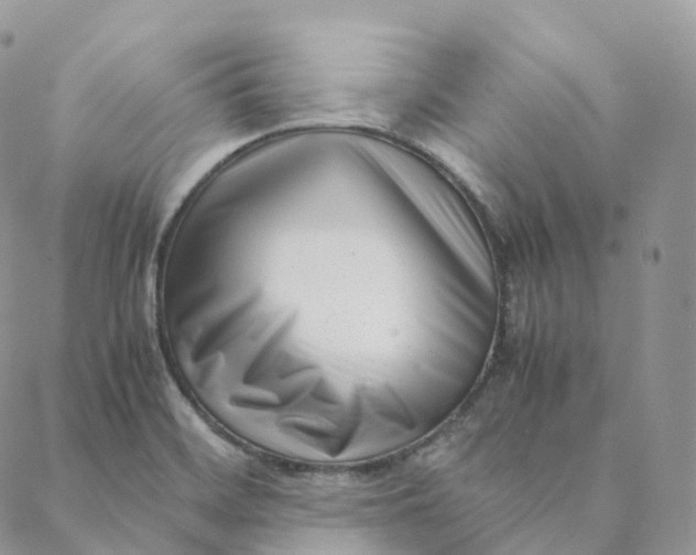 X0000088361468200706121043